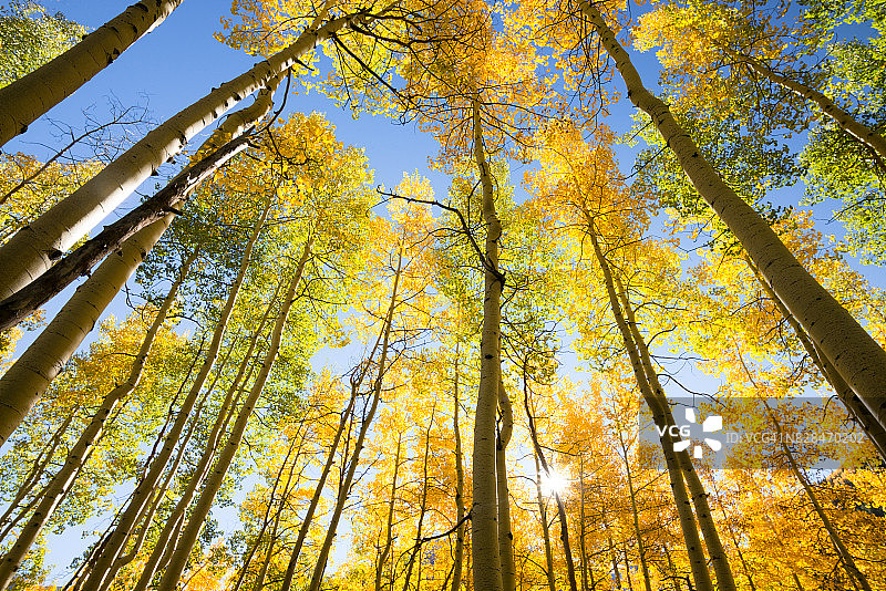 科罗拉多州秋景图片素材