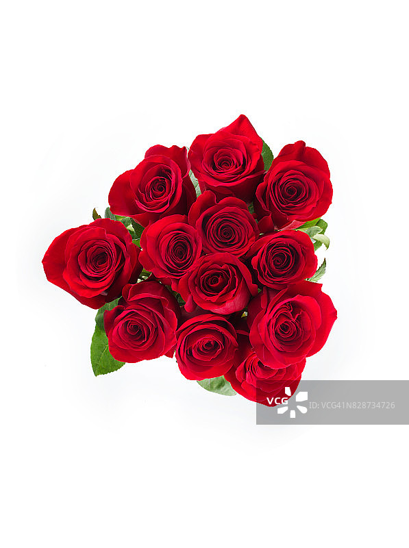 一打玫瑰图片素材