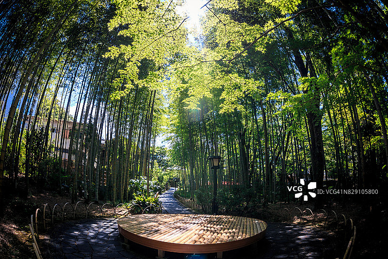 日本静冈县伊豆竹林小径的座位平台图片素材