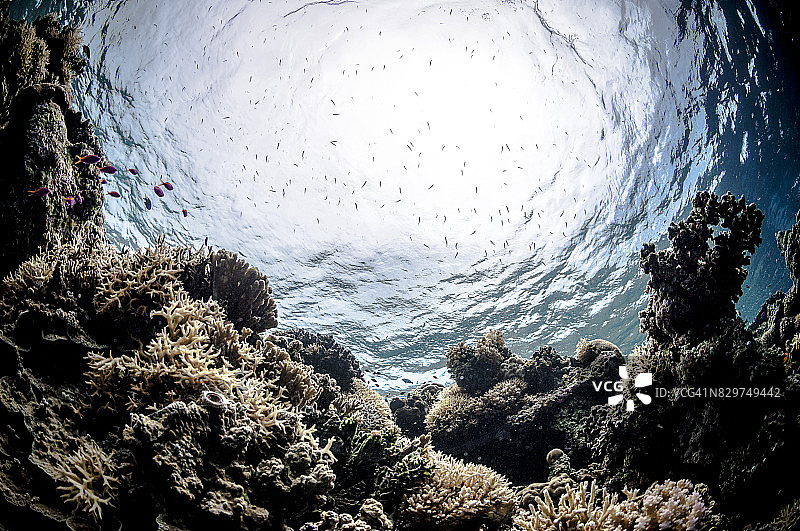 托吉安群岛：印度尼西亚中苏拉威西岛海岸托米尼湾的56个岛屿和小岛组成的群岛图片素材