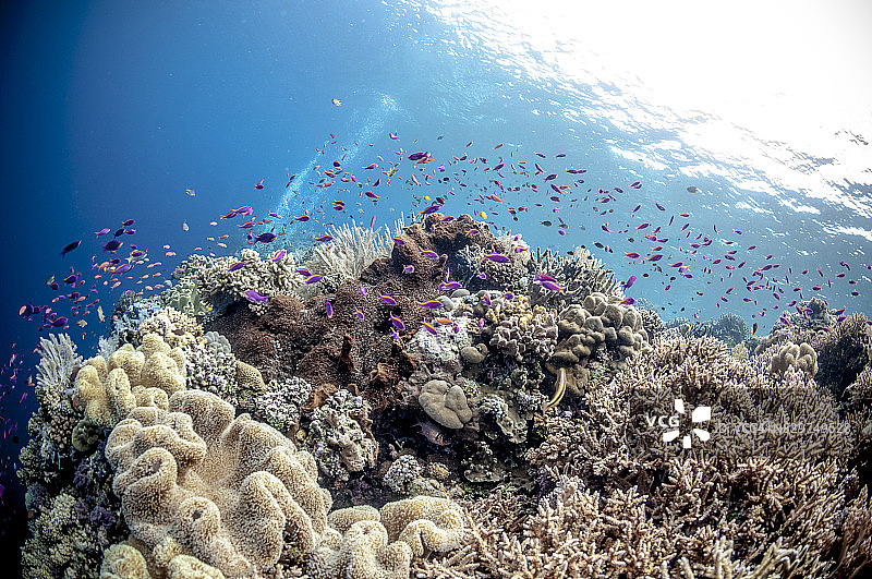 托吉安群岛：印度尼西亚中苏拉威西岛海岸托米尼湾的56个岛屿和小岛组成的群岛图片素材