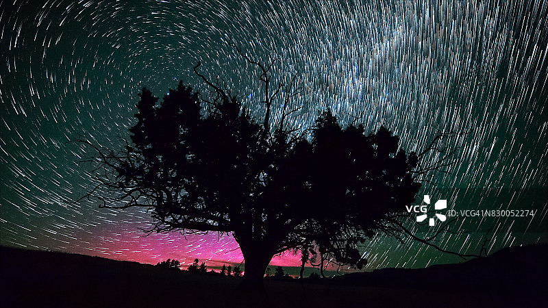 俄勒冈州上空的北极光和西部杜松夜空星迹图片素材