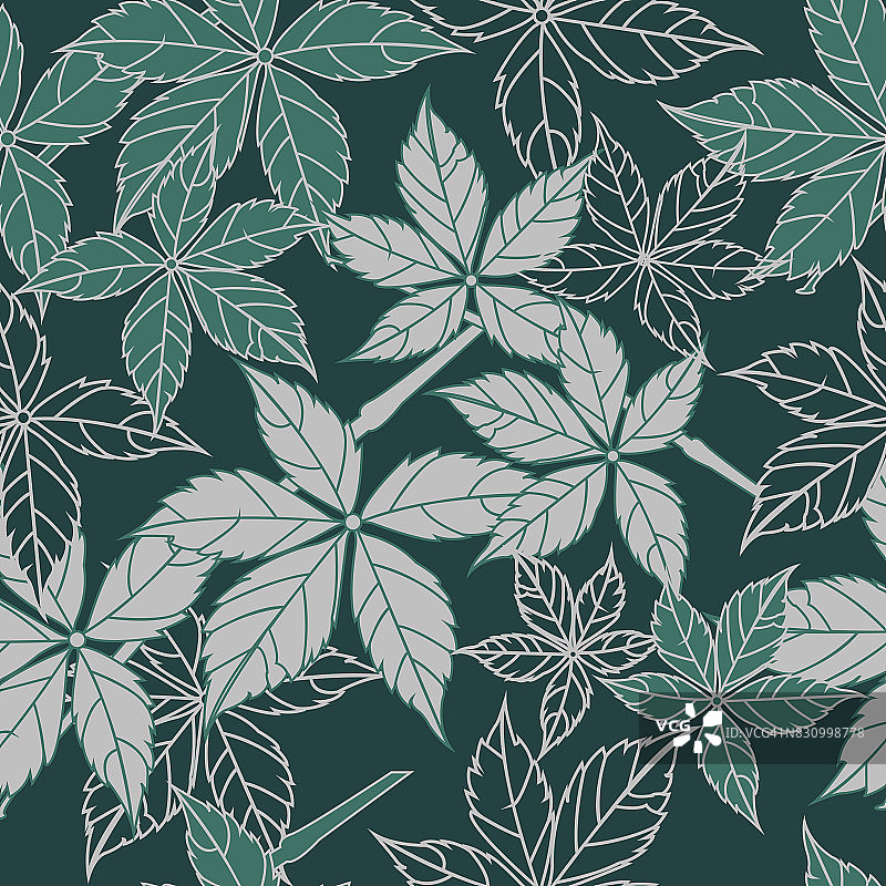 爬山虎藤蔓和树叶无缝矢量图案图片素材