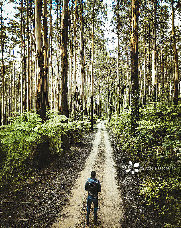 在亚拉山脉森林中操控无人机的男人图片素材