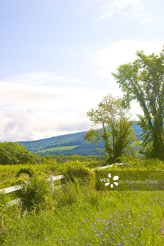 纽约州希尔斯代尔的乡村场景图片素材