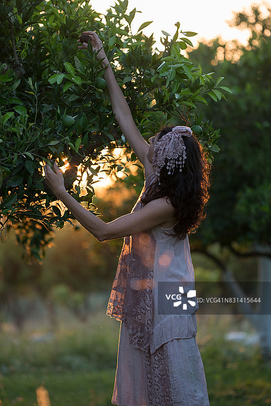 白人女孩在有机农场收获橘子和橙子图片素材