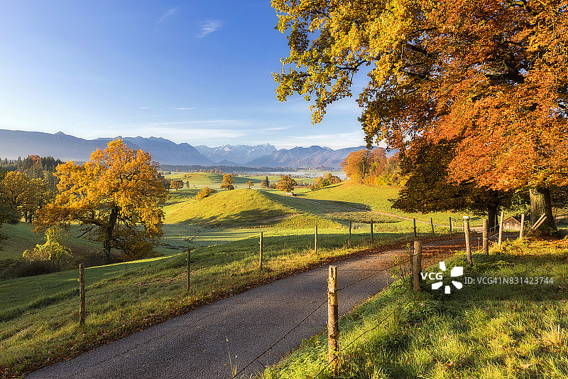 慕尔瑙沼泽地的晚秋图片素材