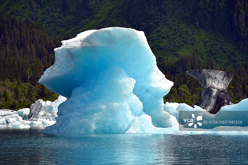 阿拉斯加熊冰川附近的漂浮冰山图片素材