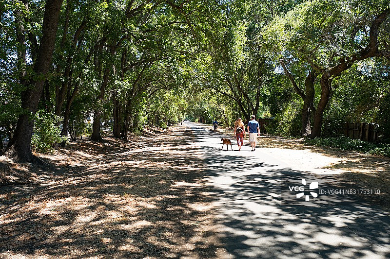 铁马小径图片素材