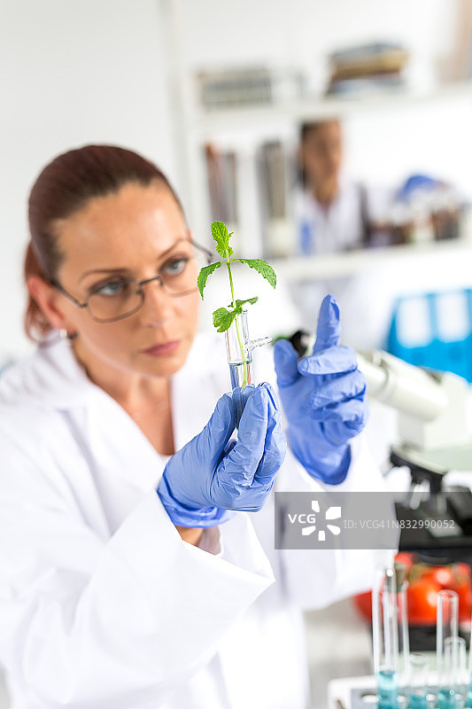 在实验室测试生长的女性生物学家图片素材