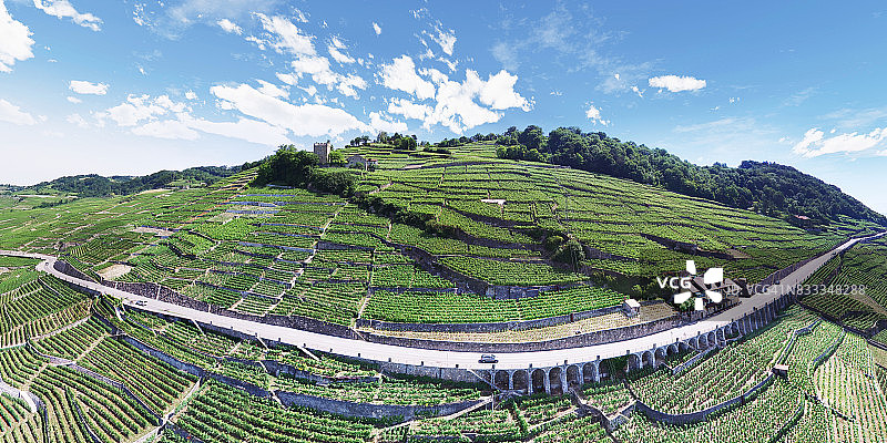瑞士拉沃葡萄园梯田图片素材