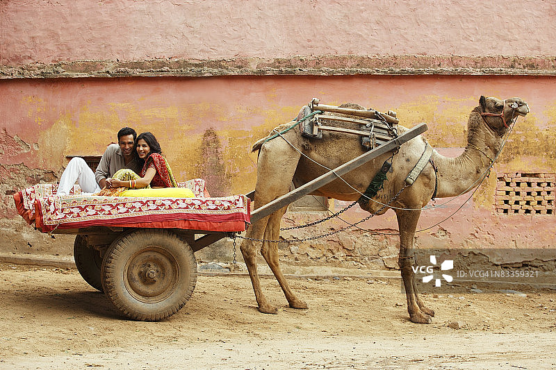 情侣乘坐骆驼车图片素材