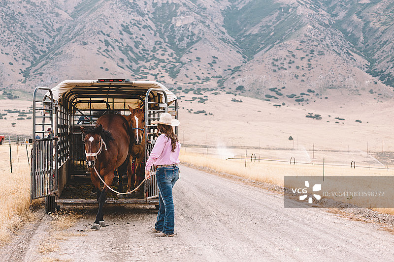 从拖车上卸马图片素材