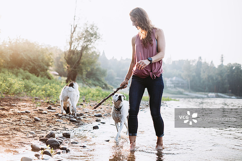 在河边和狗玩耍的女人图片素材