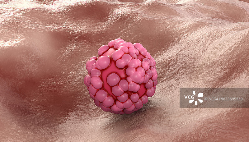 胚胎干细胞图片素材