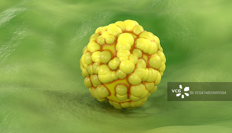 胚胎干细胞图片素材