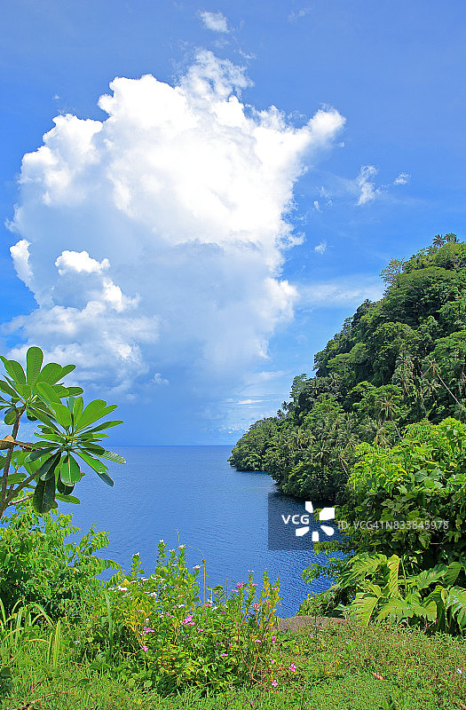 从威都村透过异国情调的树叶看到的俾斯麦海，加罗夫村，巴布亚新几内亚图片素材