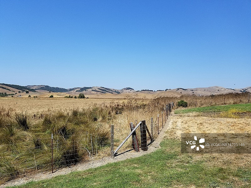 西马林图片素材