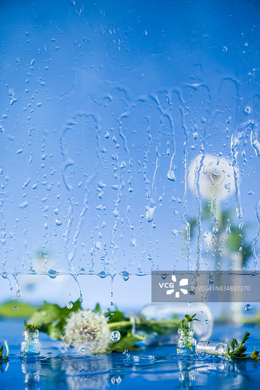 蒲公英水滴瓶静物图片素材