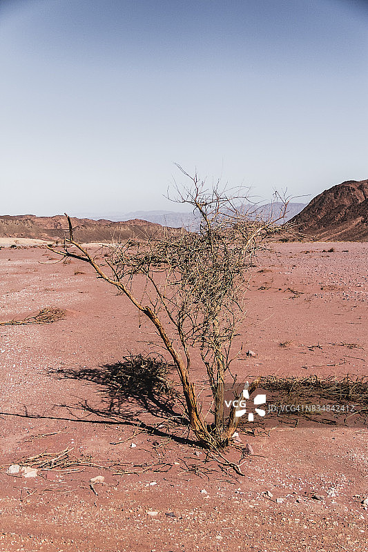 提姆纳谷国家公园的侵蚀砂岩地貌图片素材