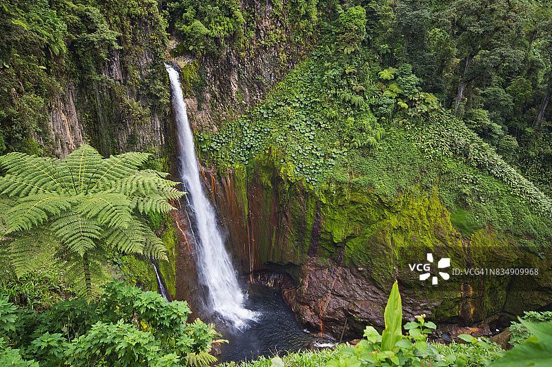 热带雨林中的壮丽瀑布：托罗瀑布图片素材