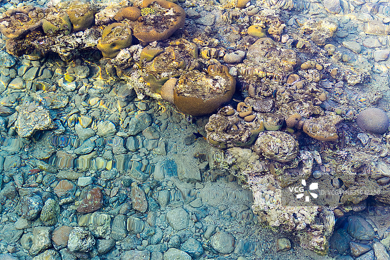 水下珊瑚图片素材