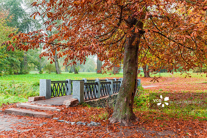 美丽公园的秋色：河上的桥梁图片素材