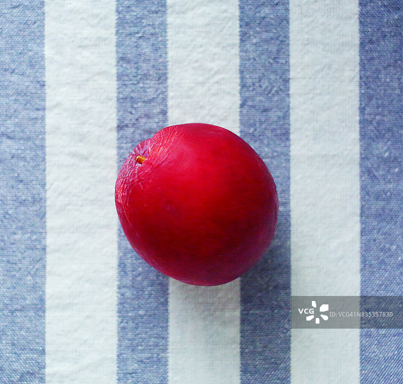 日本李子图片素材