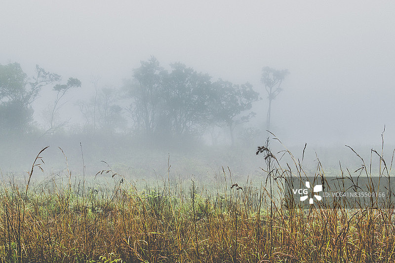 普马兰加省的南非东北部乡村图片素材