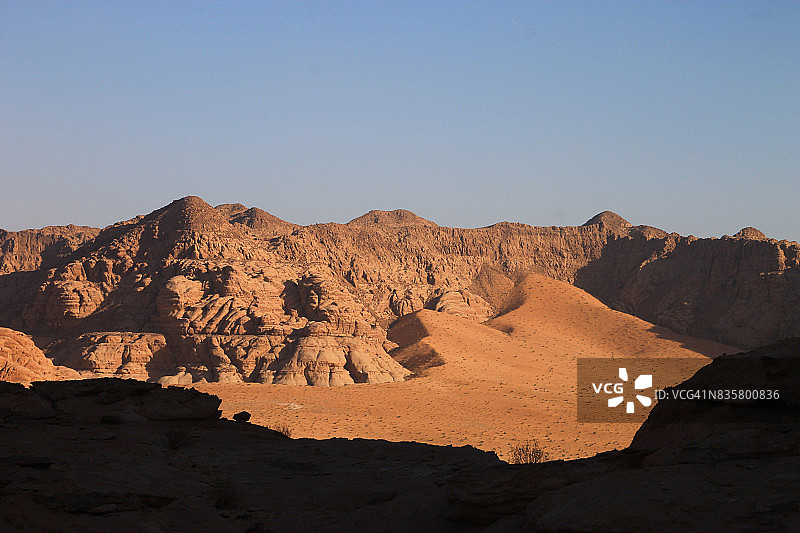 大德朗姆酒图片素材
