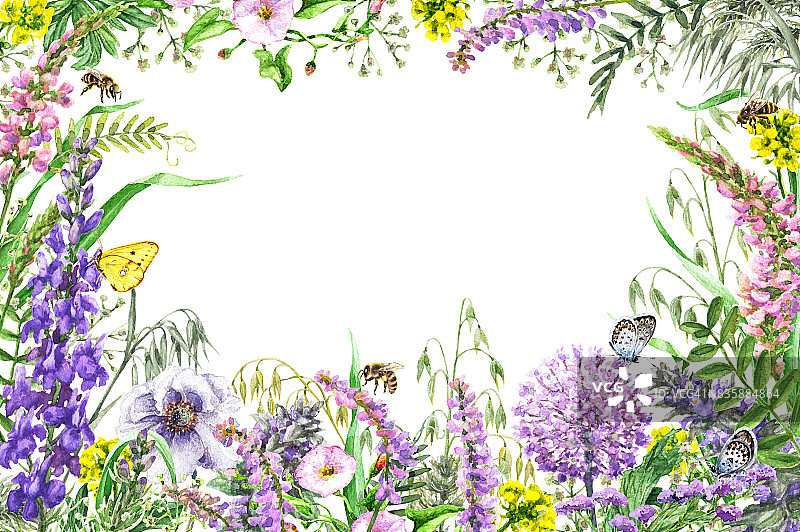 水彩野花边框图片素材