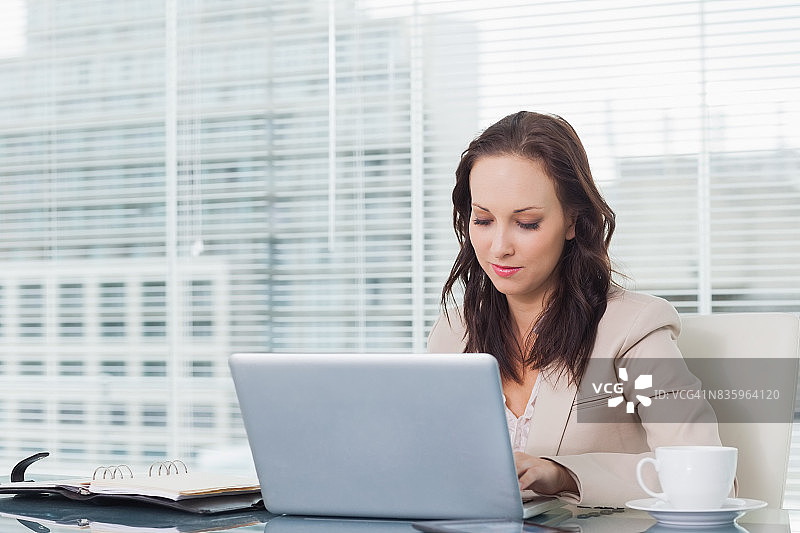 专心使用笔记本电脑的女商人图片素材