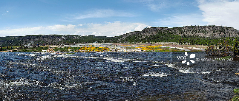 黄石国家公园火眼河畔的黄色野花图片素材
