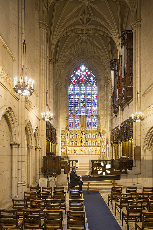 羽管键琴演奏者图片素材