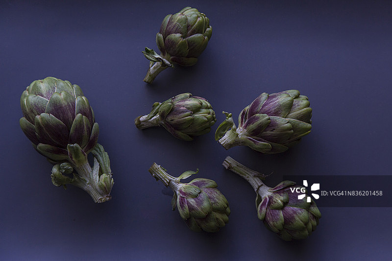 托盘上的朝鲜蓟幼苗图片素材