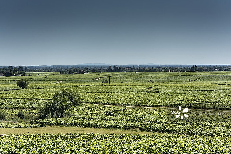 佩尔南-韦尔热莱斯村庄葡萄酒园图片素材