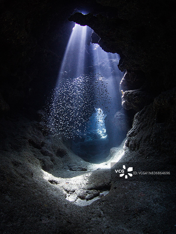 洞穴中光束照亮银汉鱼图片素材