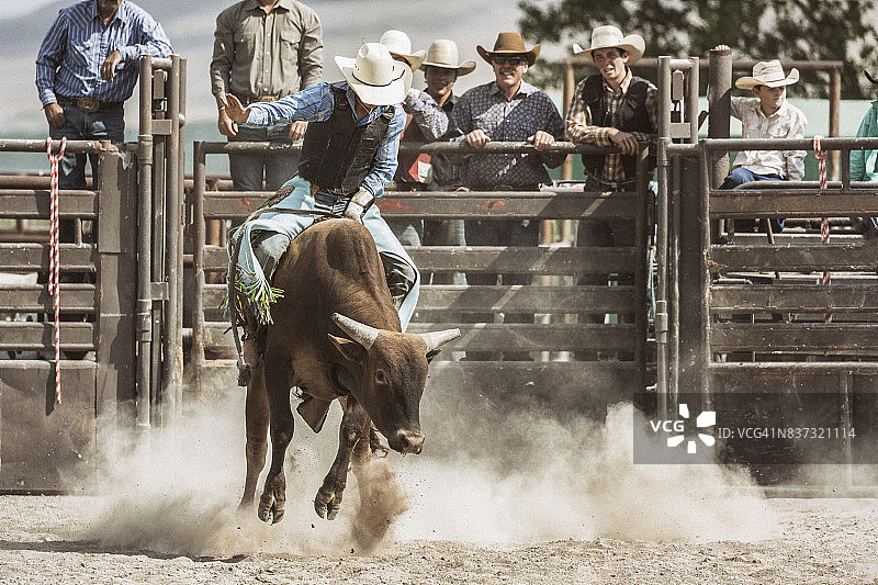 年轻牛仔在无鞍骑蛮牛时，一群牛仔在背景中观看图片素材