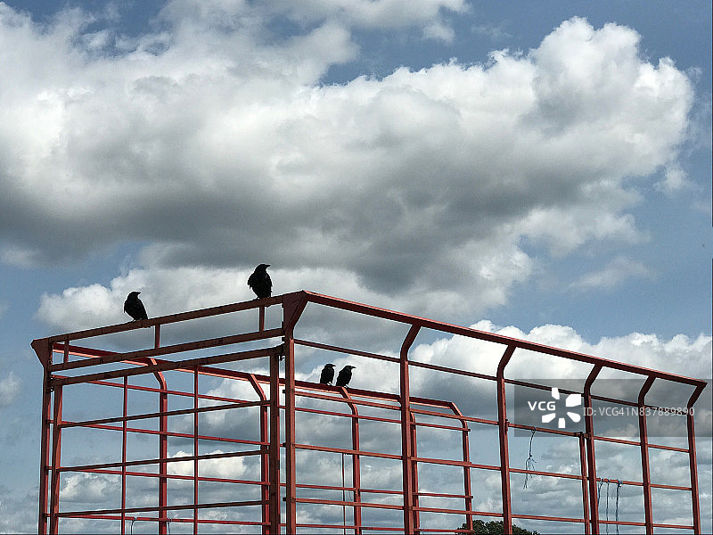 黑色的鸟栖息在钢结构上，等待即将到来的日食。图片素材