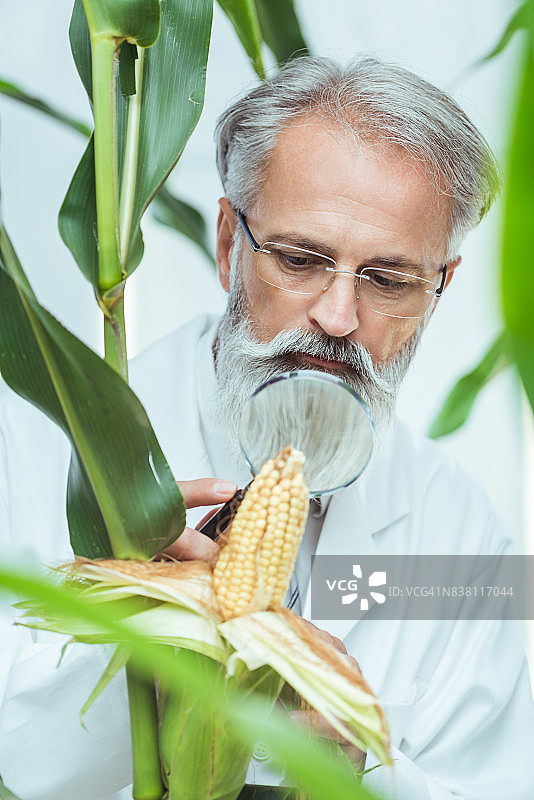 实验室图片素材