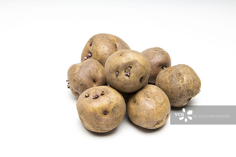 新鲜土豆图片素材