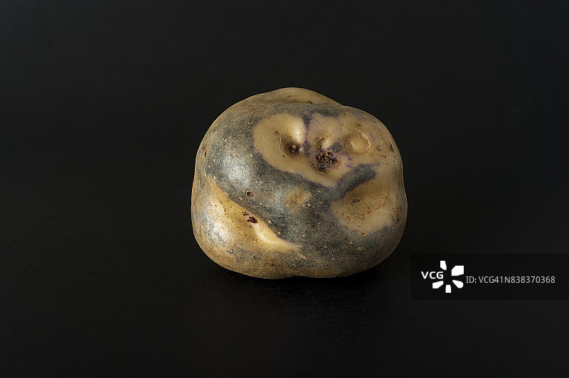 新鲜土豆图片素材