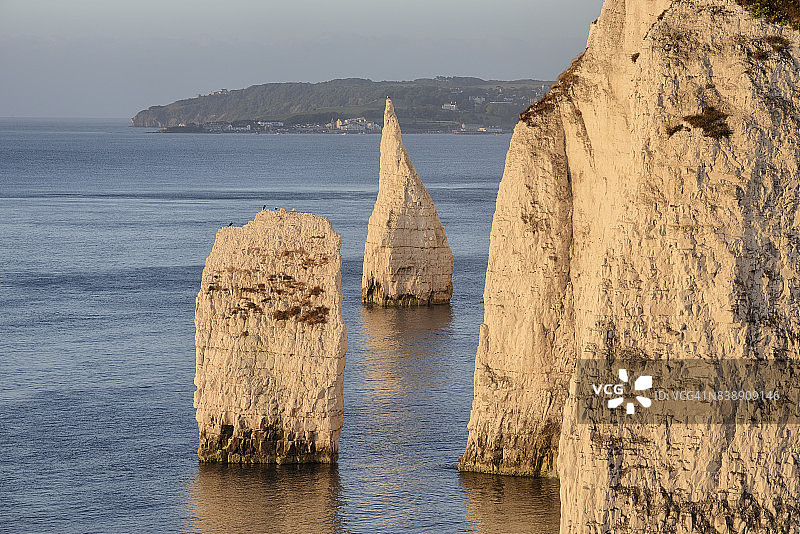 哈里岩：白垩悬崖和海上岩柱，温暖的晨光日出图片素材