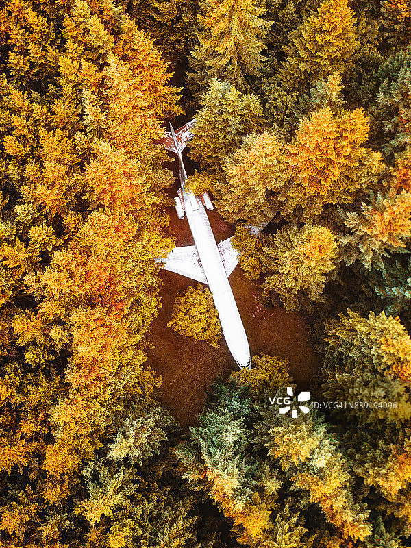 森林中的飞机残骸图片素材