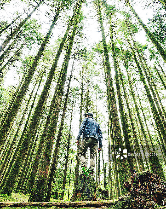 在加拿大不列颠哥伦比亚省徒步的男人图片素材