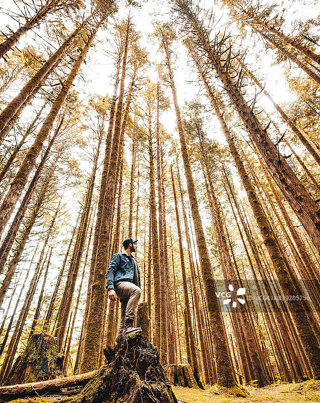 在加拿大不列颠哥伦比亚省徒步的男人图片素材