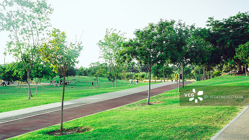 可欣赏城市景观的公园图片素材