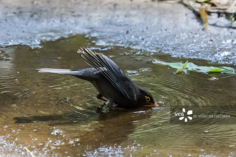 开放式浴缸图片素材