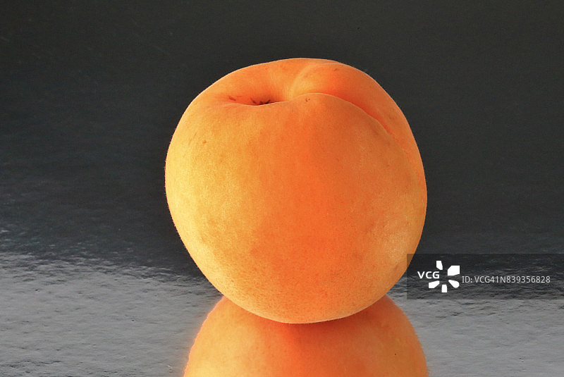 杏子果实特写图片素材