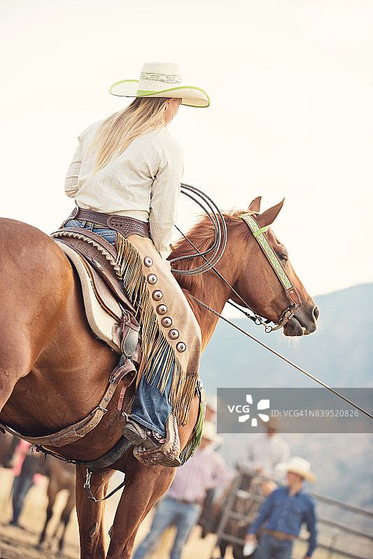 在工作中，女牛仔扶着马背图片素材